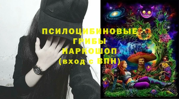 apvp Алексеевка
