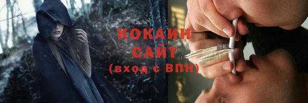 соль ск Алексин