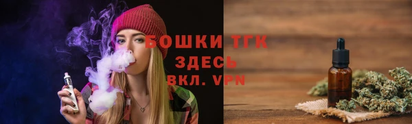 соль ск Алексин