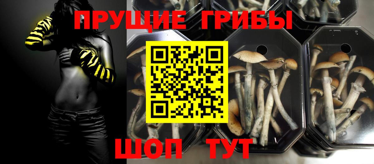 Галлюциногенные грибы ЛСД Амурск