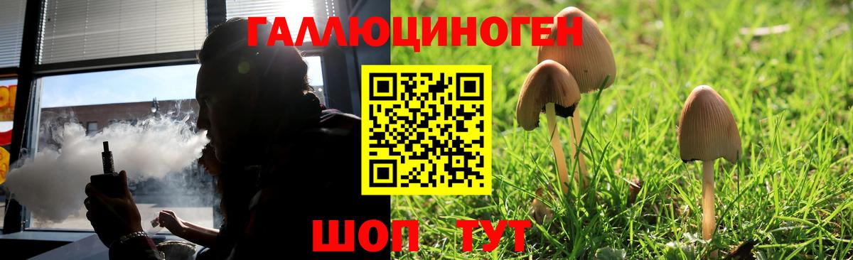 Псилоцибиновые грибы ЛСД  Вход с VPN  Амурск 